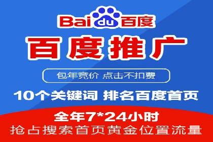 百度竞价与搜索引擎优化（SEO）的协同效应案例